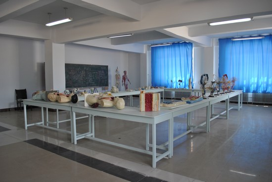 DSC_0113.JPG